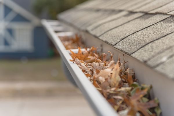 Leaf Barrier Installation in Davidson